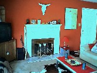 Fireplace in the Living room